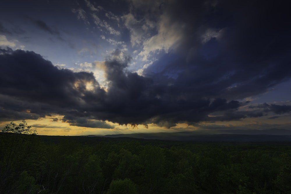 a cloudy sky over a forest at sunset