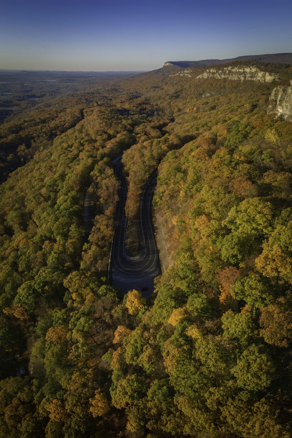 an aerial view of a road surrounded by trees