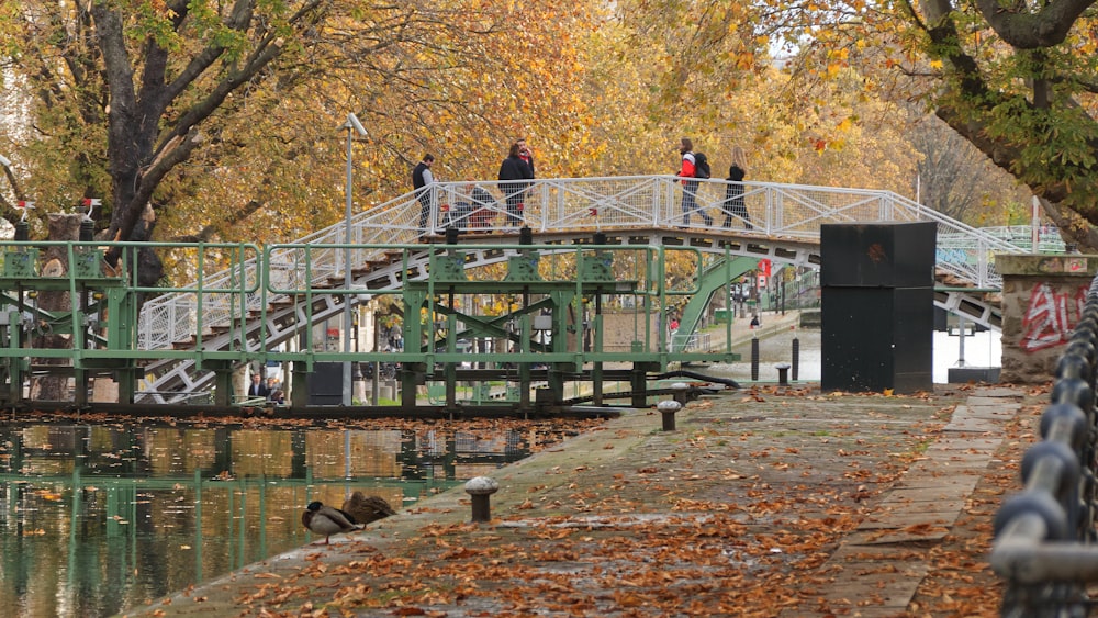 a bridge over a body of water surrounded by trees