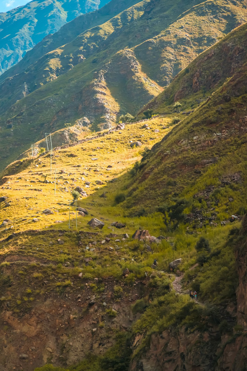 Un lato della montagna con erba verde e montagne sullo sfondo