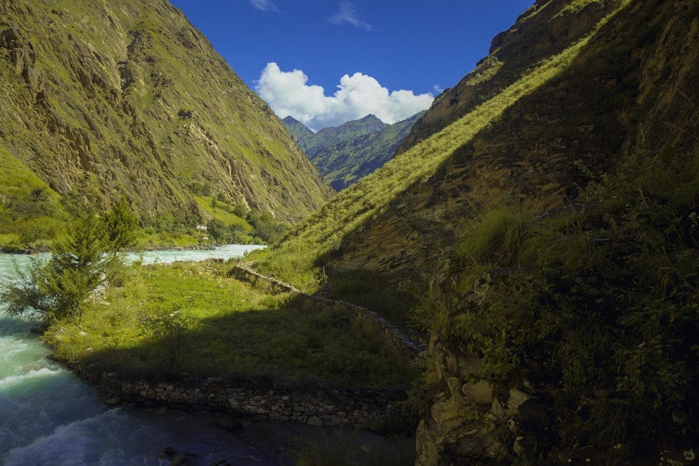 Un río que atraviesa un exuberante valle verde