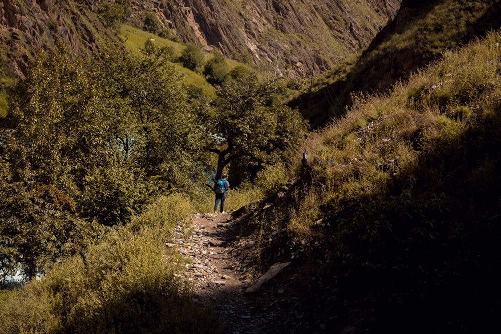 Una persona caminando por un sendero en las montañas