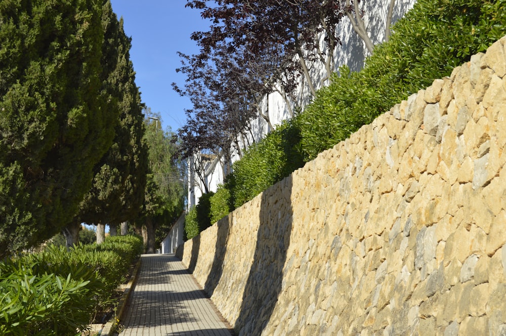 a sidewalk lined with trees next to a stone wall