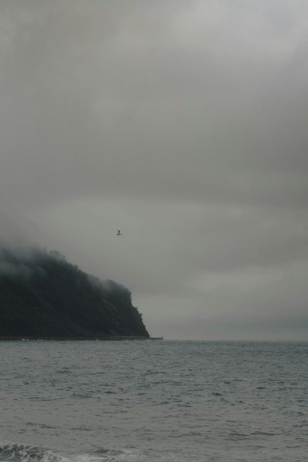 a bird flying over the ocean on a cloudy day