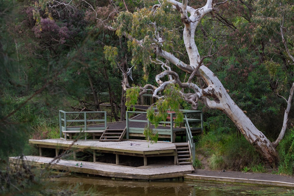 a wooden dock sitting next to a lush green forest