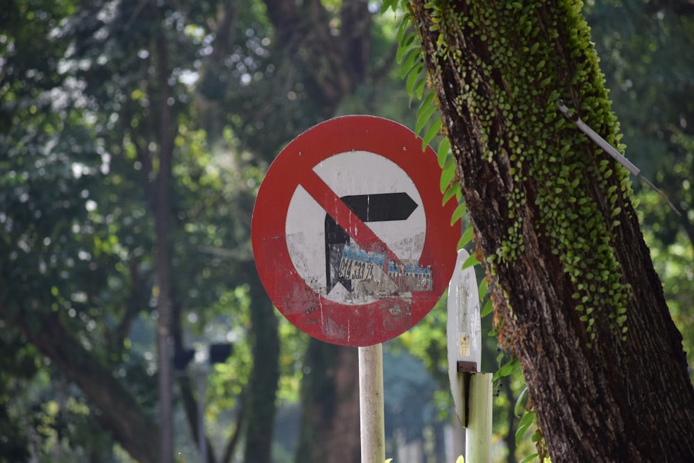 a no right turn sign next to a tree