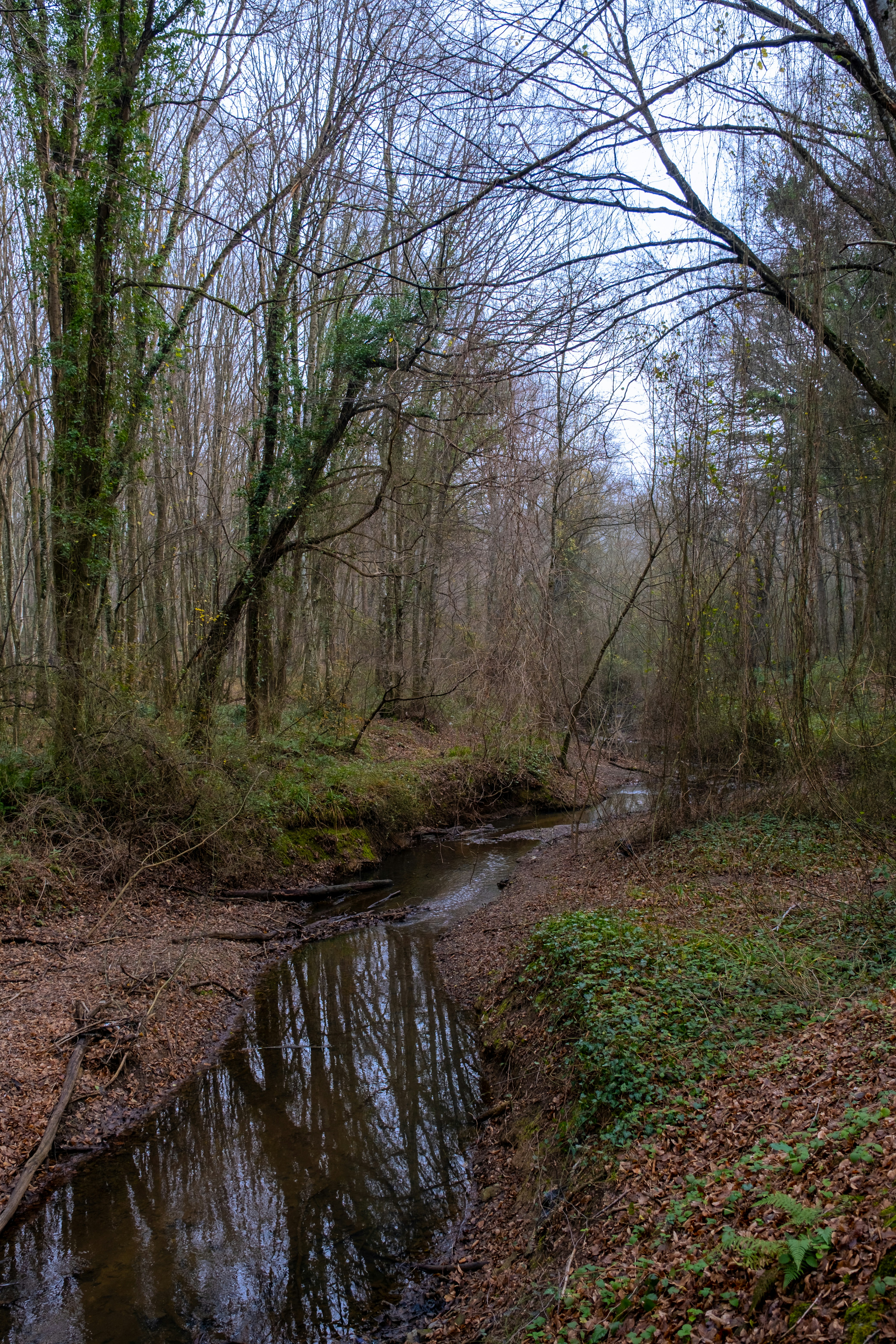 Photo by irfansimsar