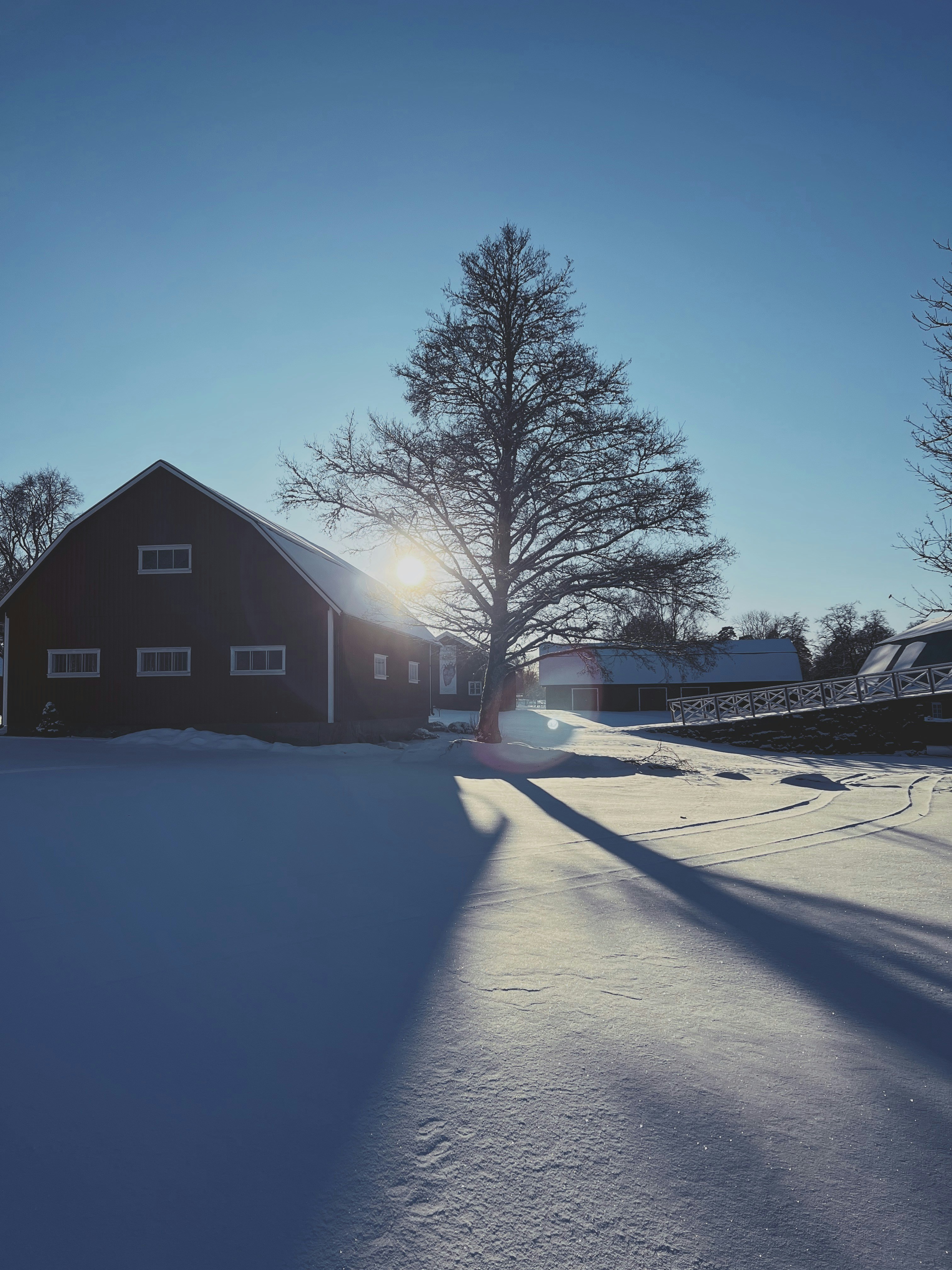 Photo by magnusjonasson