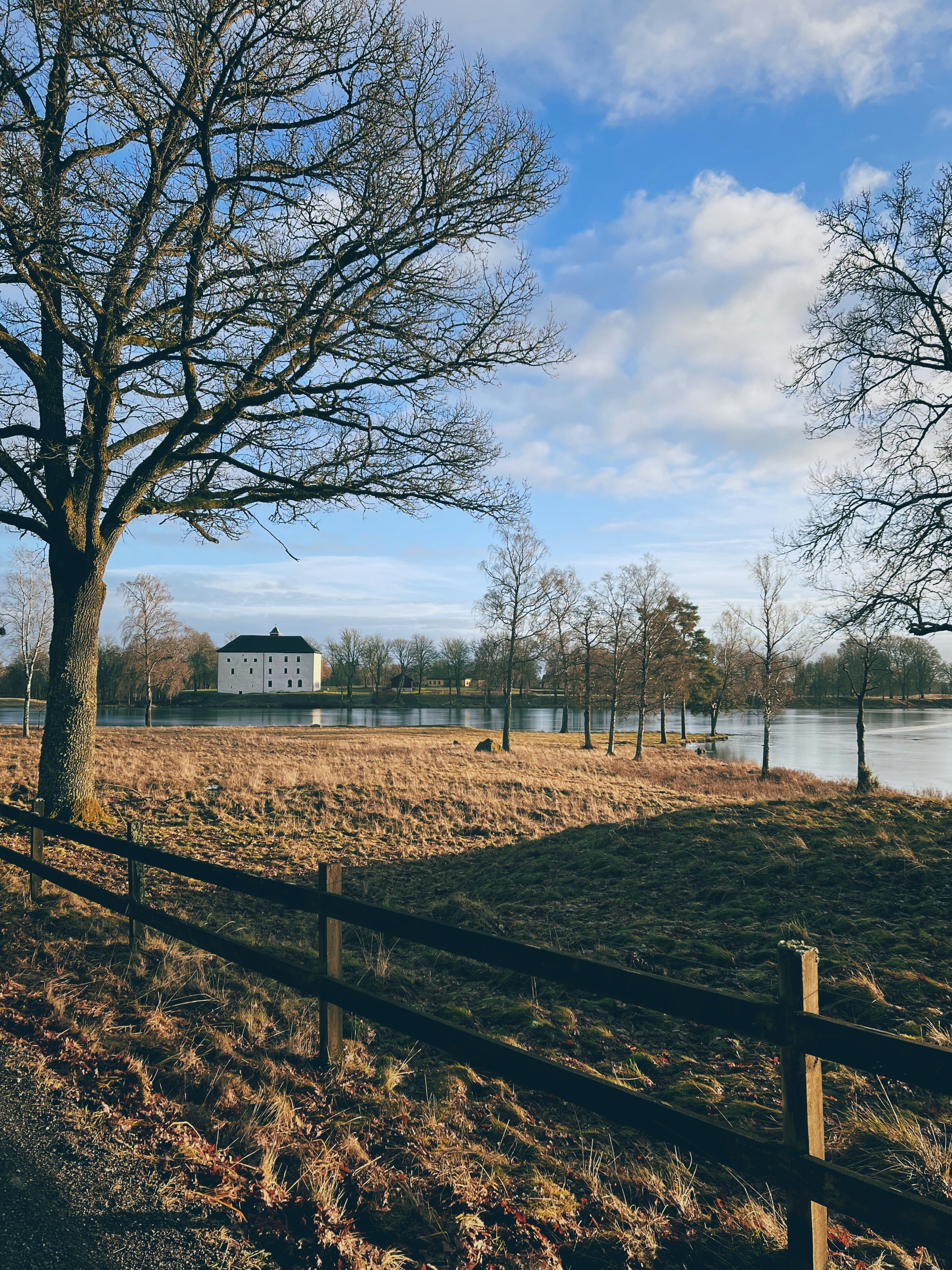 Photo by magnusjonasson