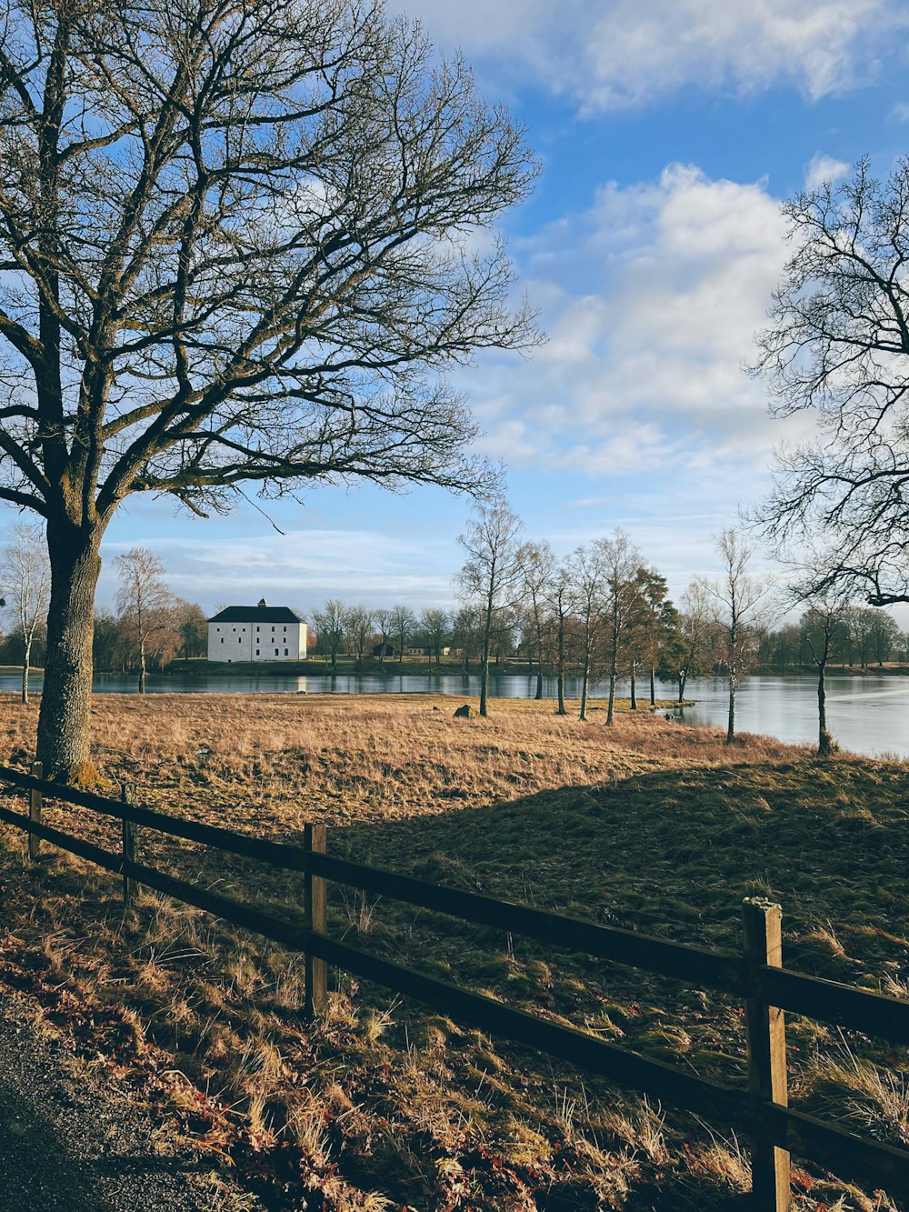 a field with a tree and a house in the background