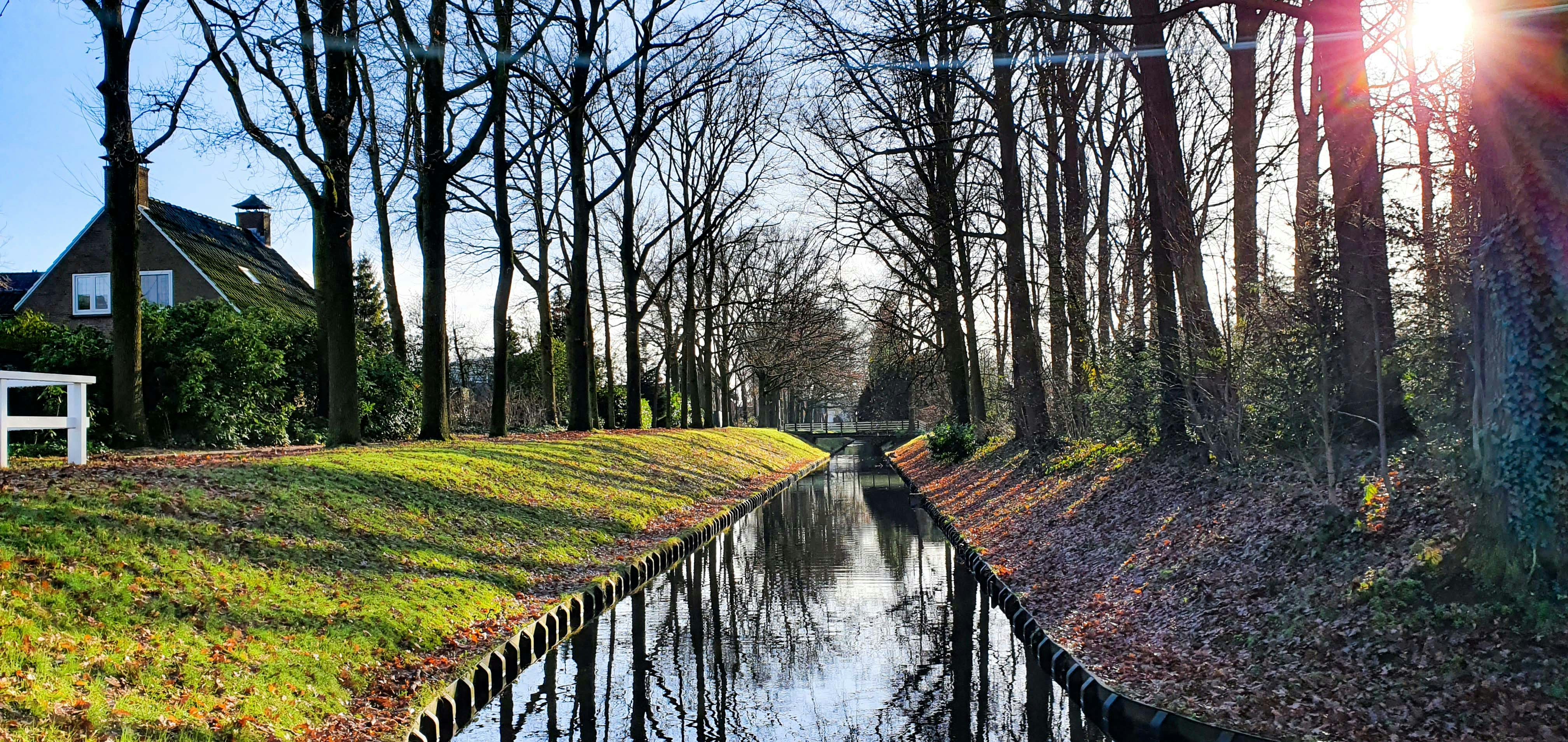 Afbeelding van Wanneperveen