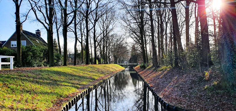 Wijchen