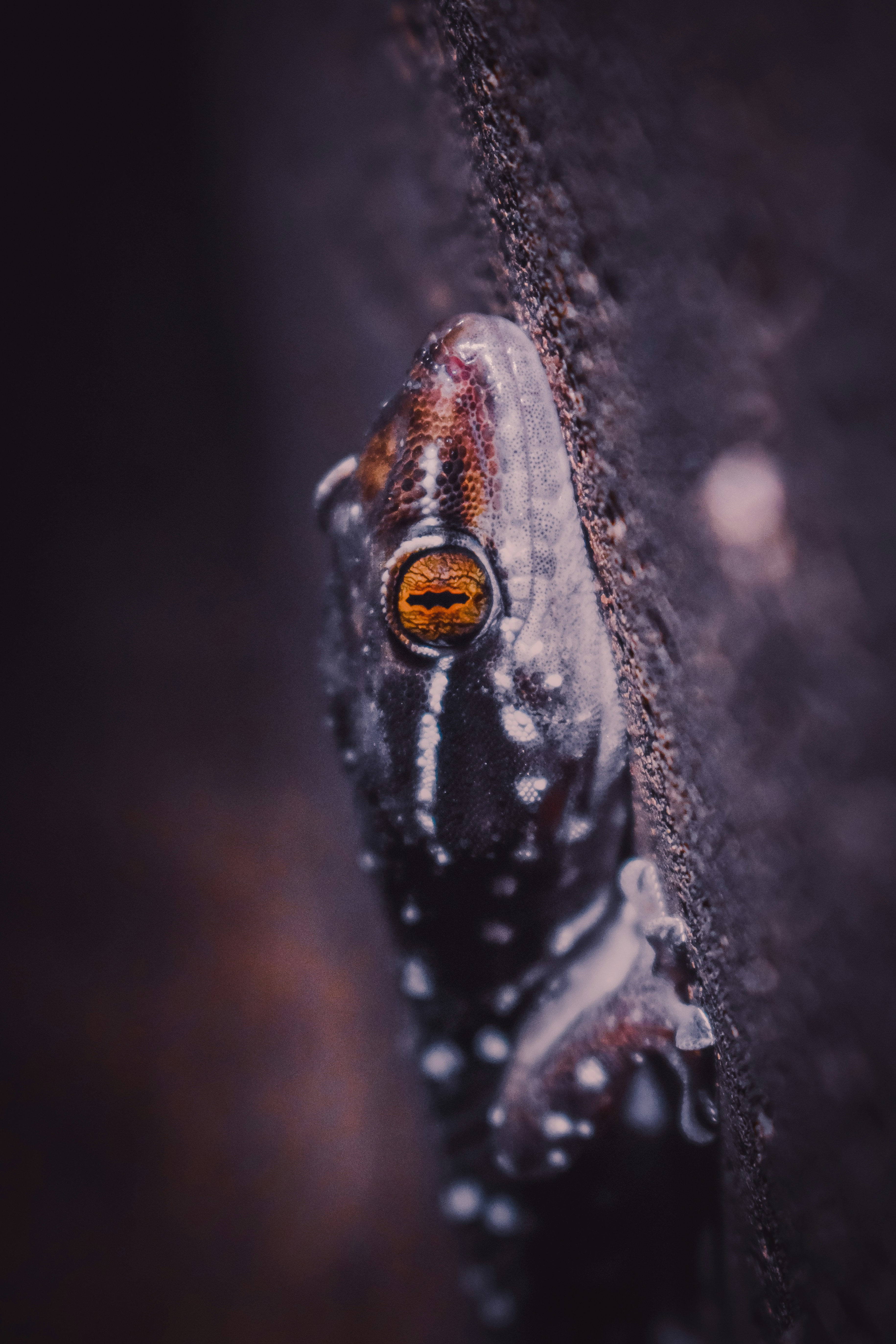 Photo by navi_photography