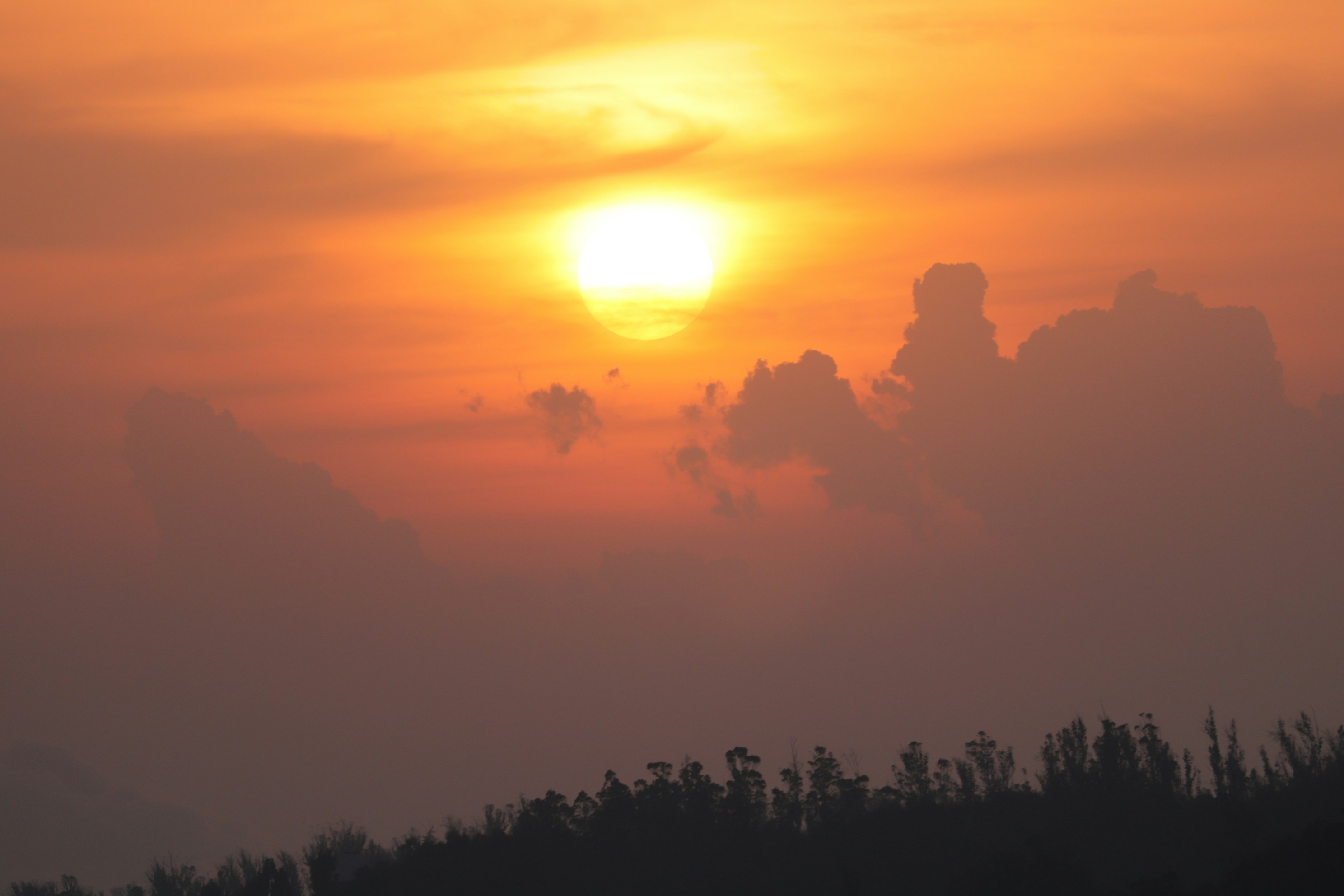 Photo by encrypted_being