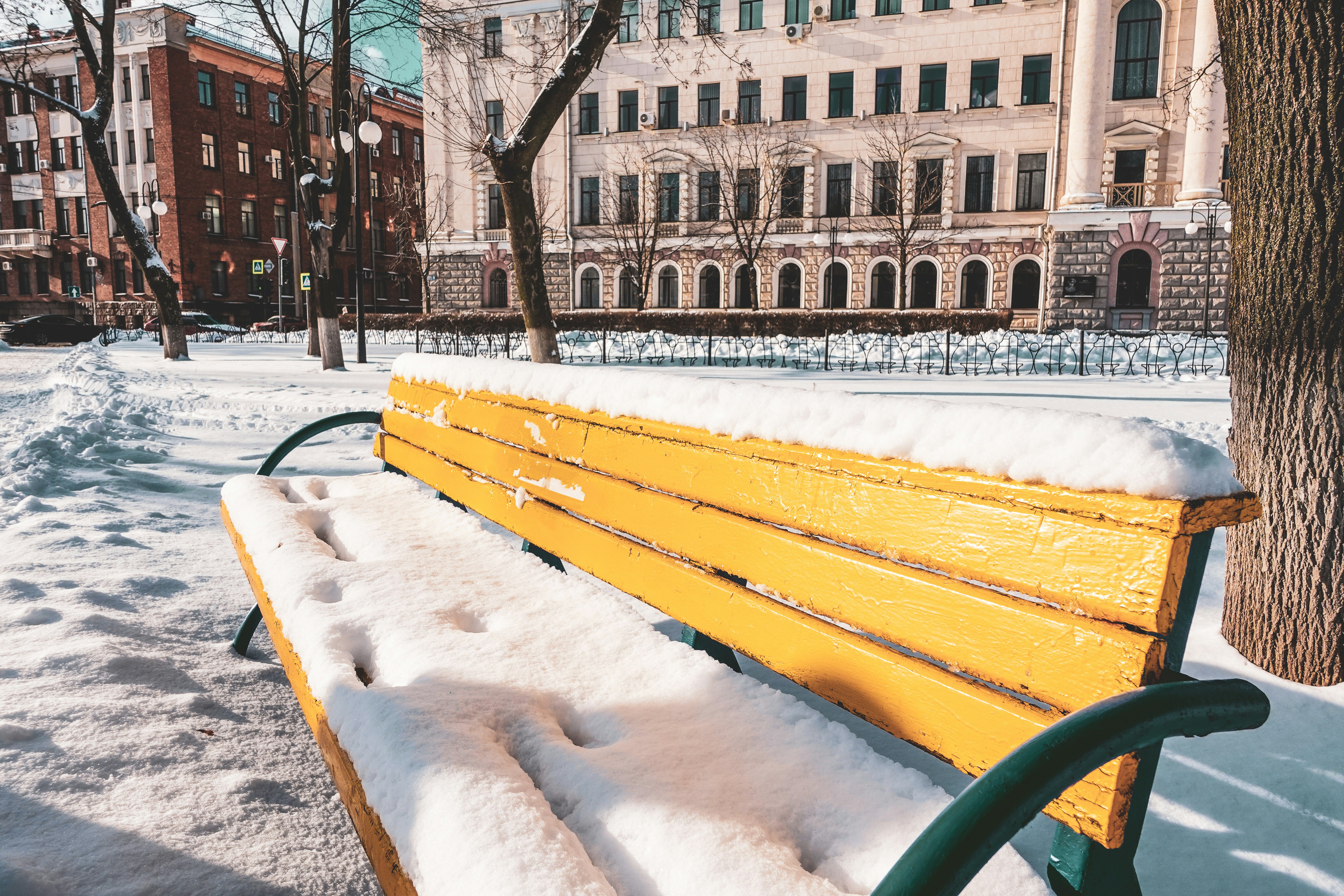 A yellow park bench covered in snow next to a tree photo – Free Kharkiv ...