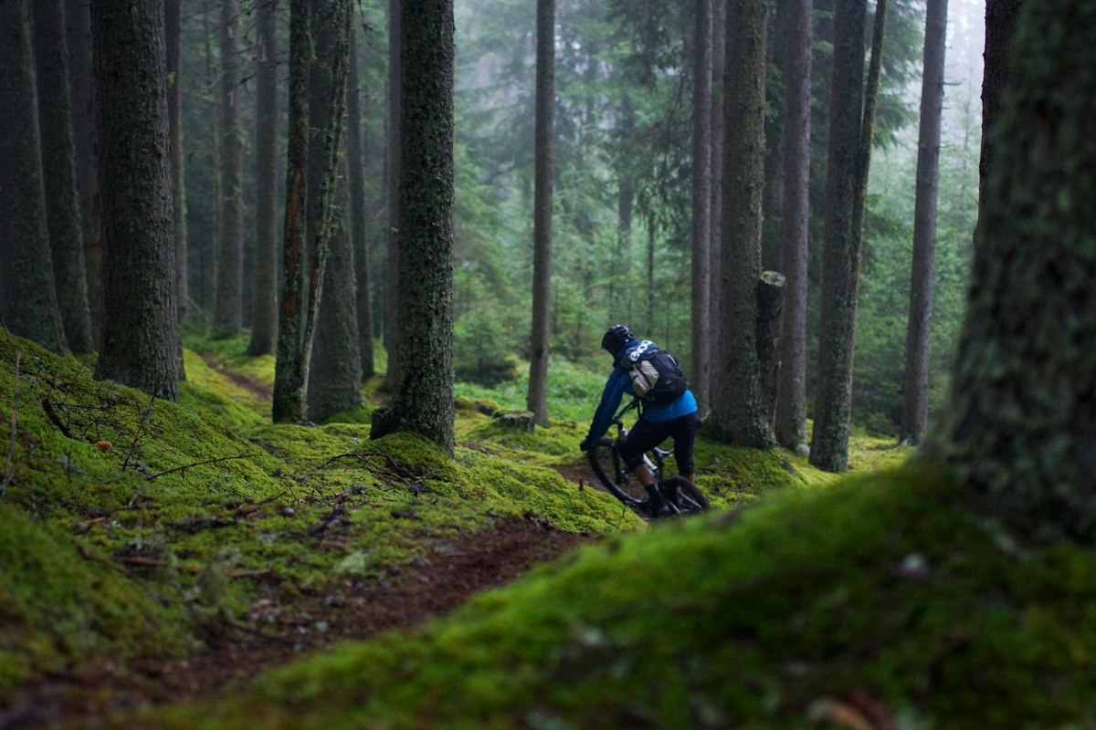 Mountain bike su un sentiero nel bosco