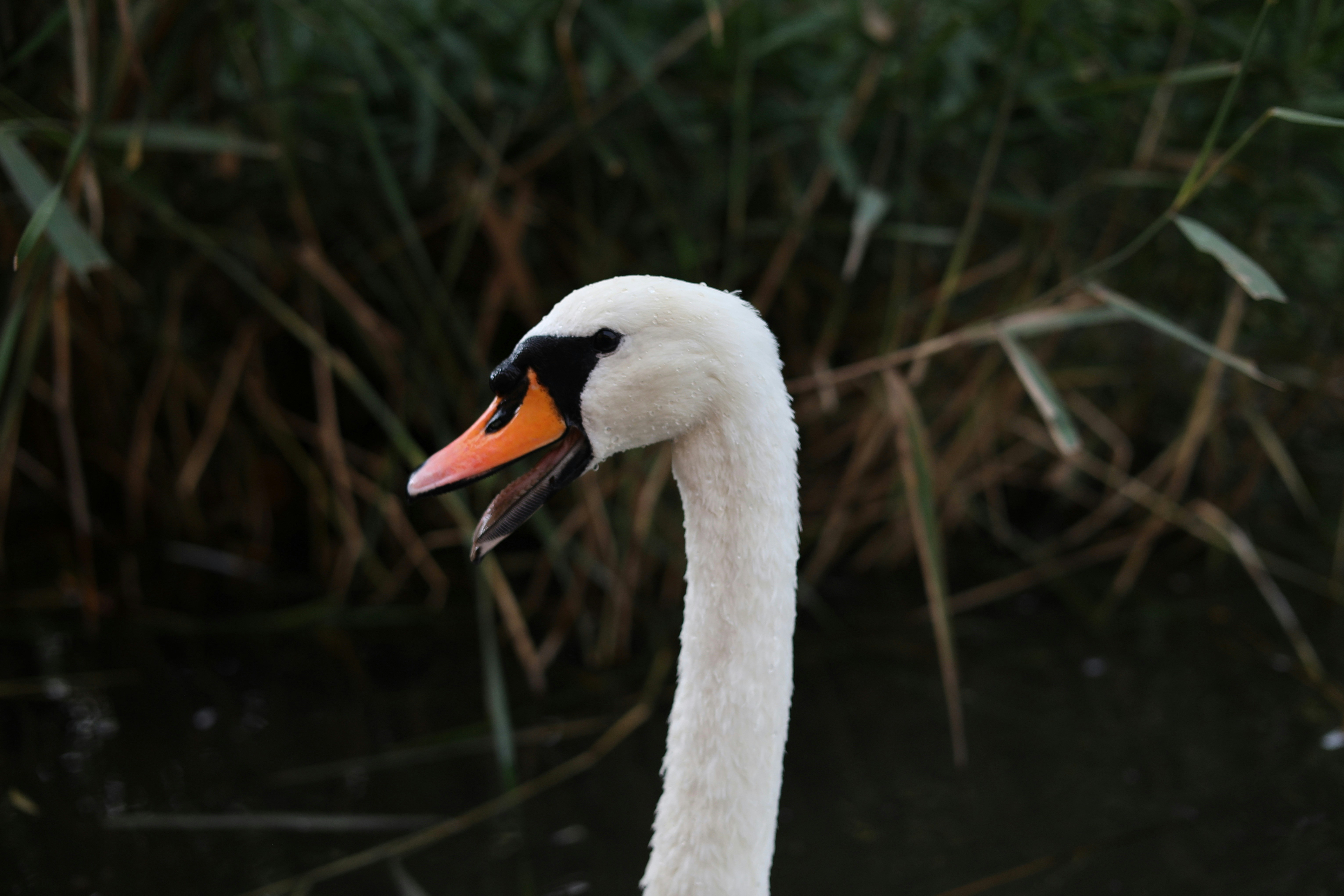 Photo by cropcontent