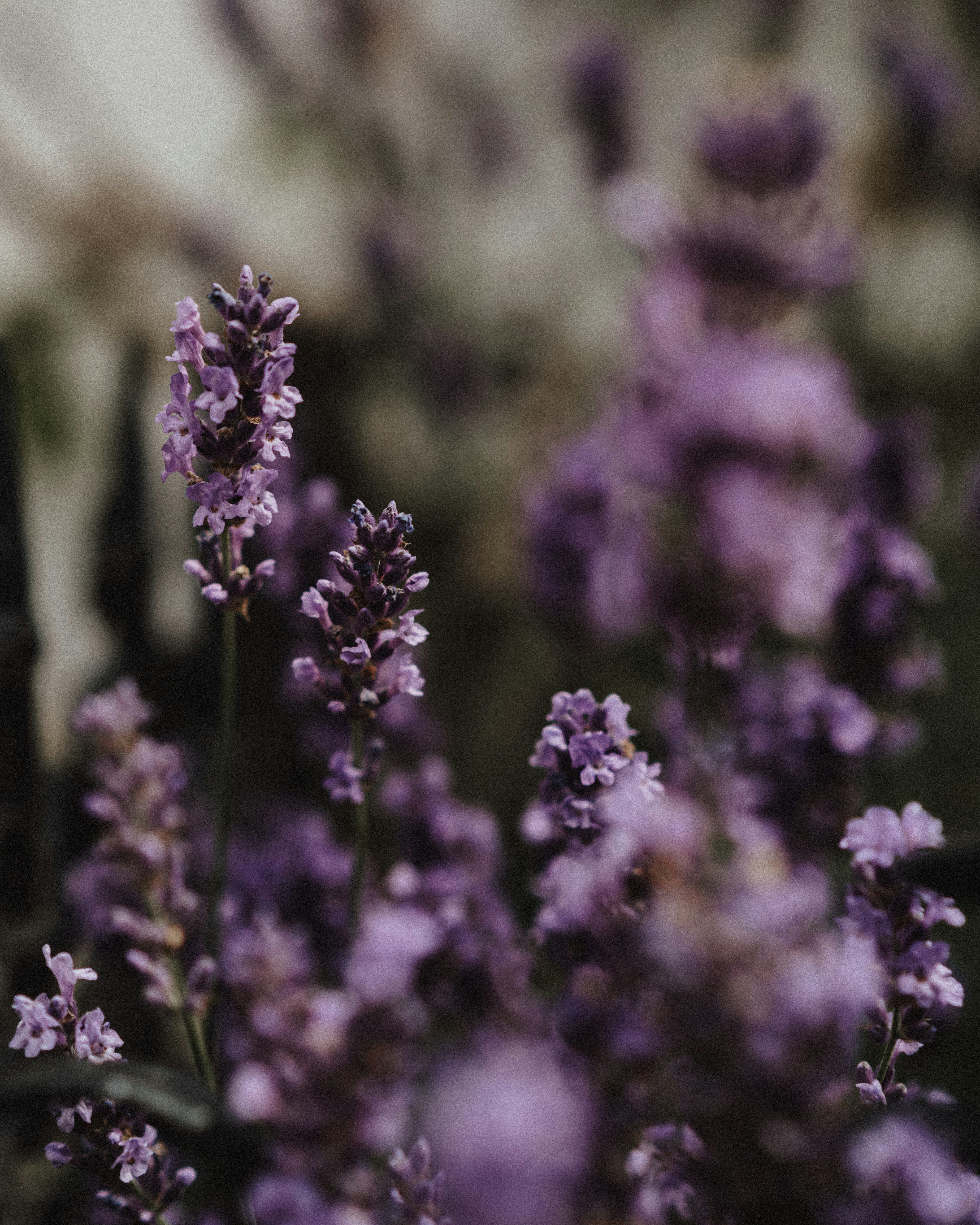 Photo by cate_brodersen