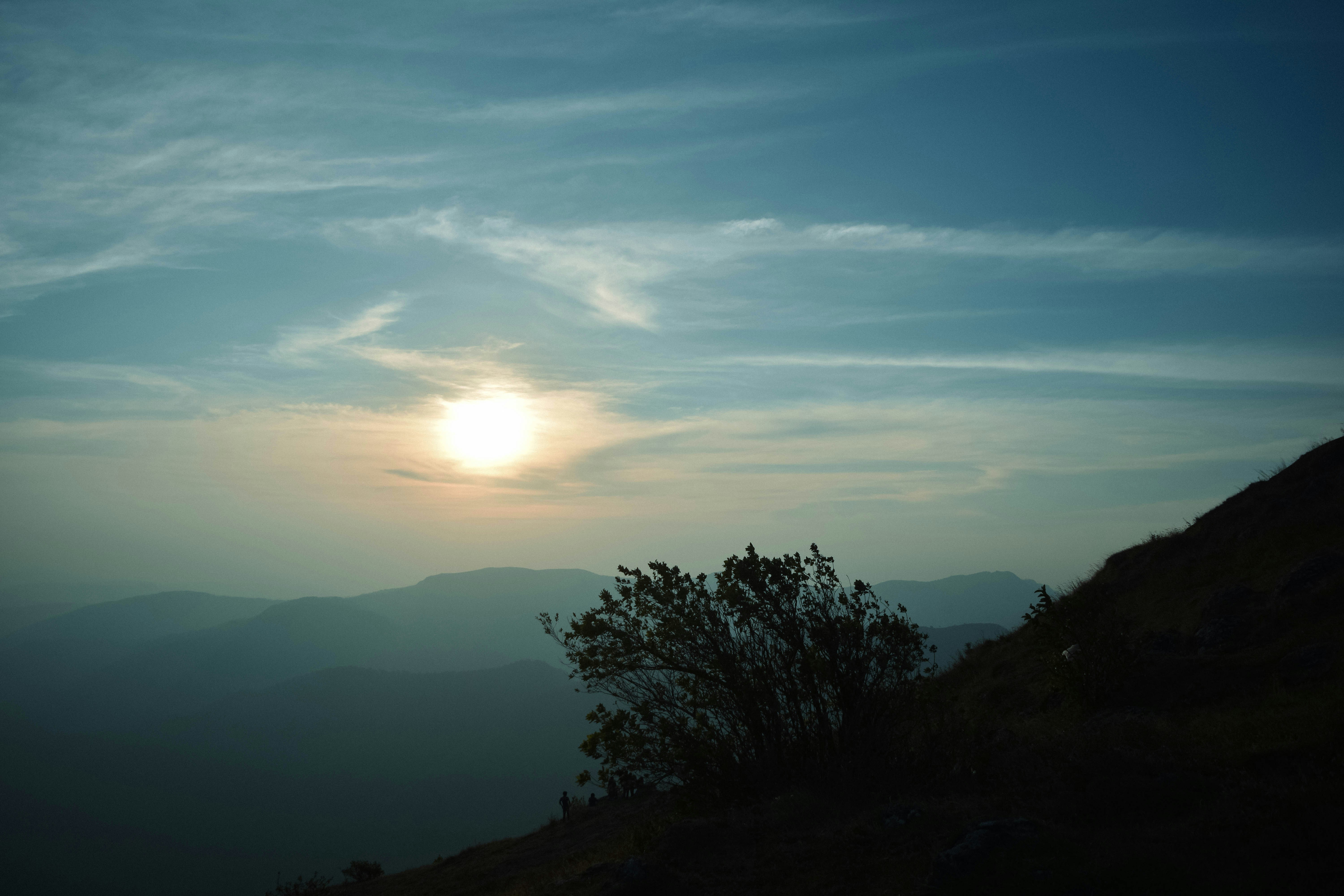 Photo by allensamthomas