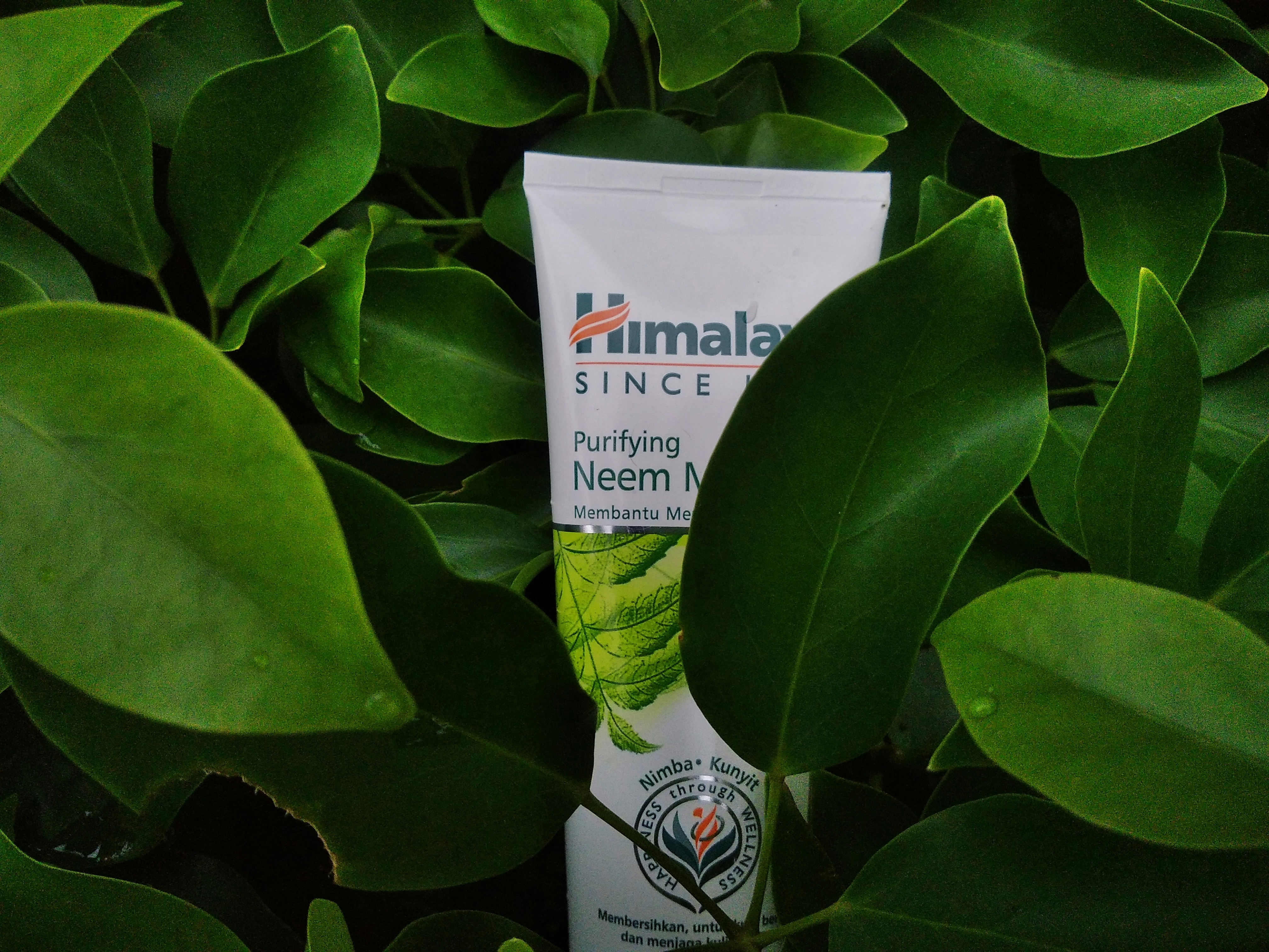 Himalaya Purifying Neem face wash
