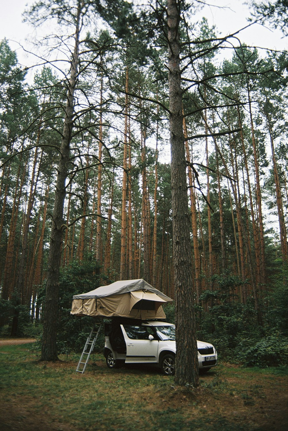 a truck parked in the woods with a tent on top of it