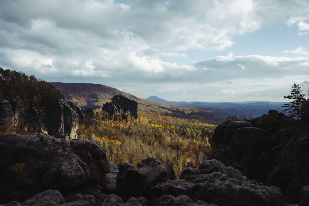 a rocky landscape with trees and mountains in the background