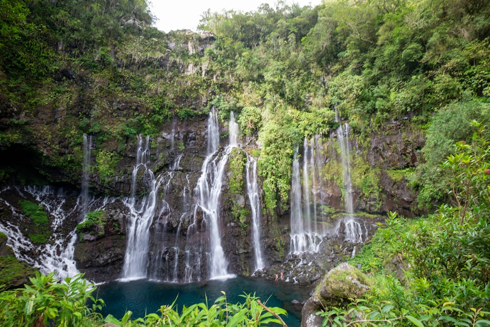 a large waterfall in the middle of a forest