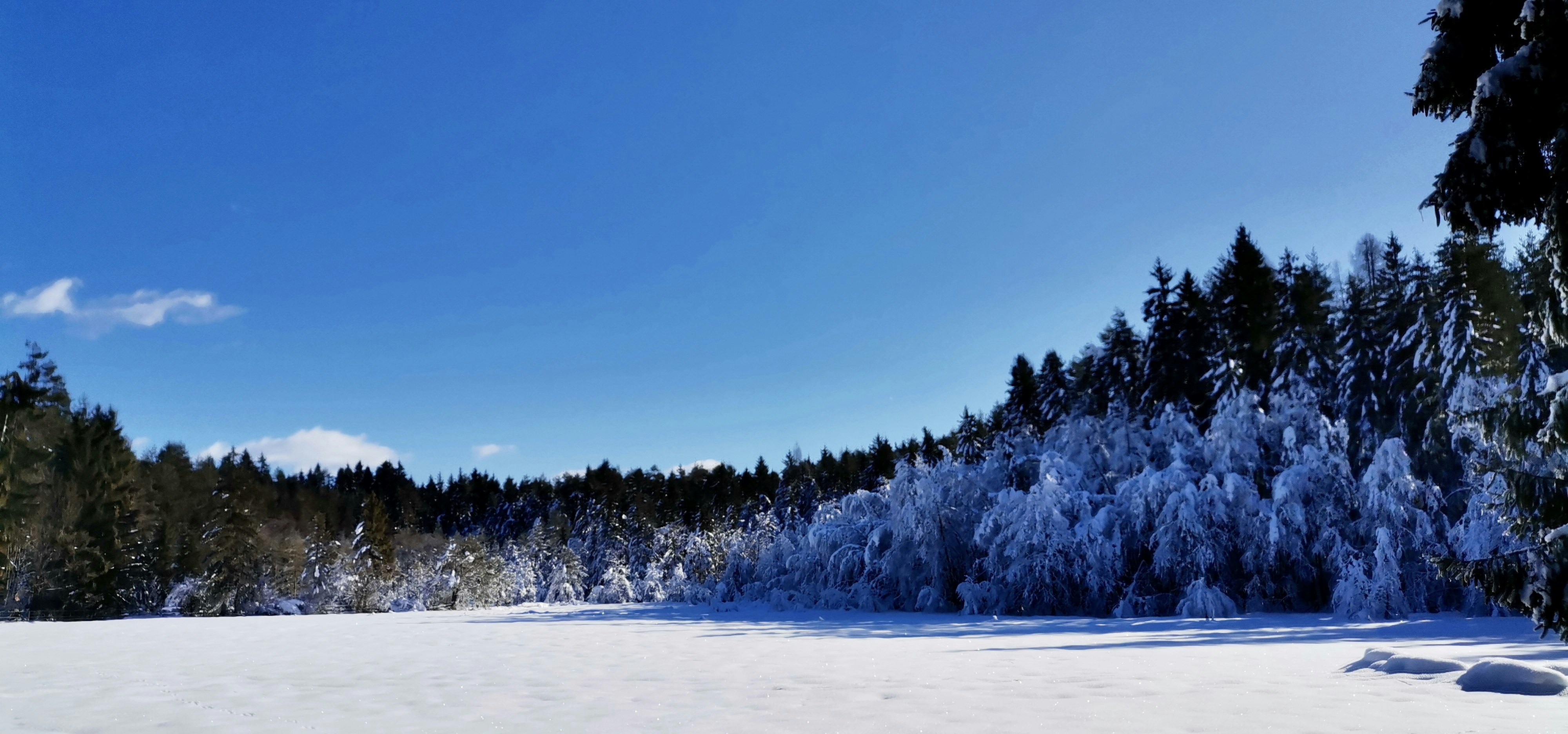 Photo by worldofmagic