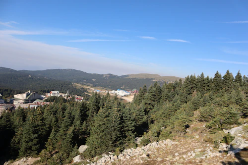 Bursa