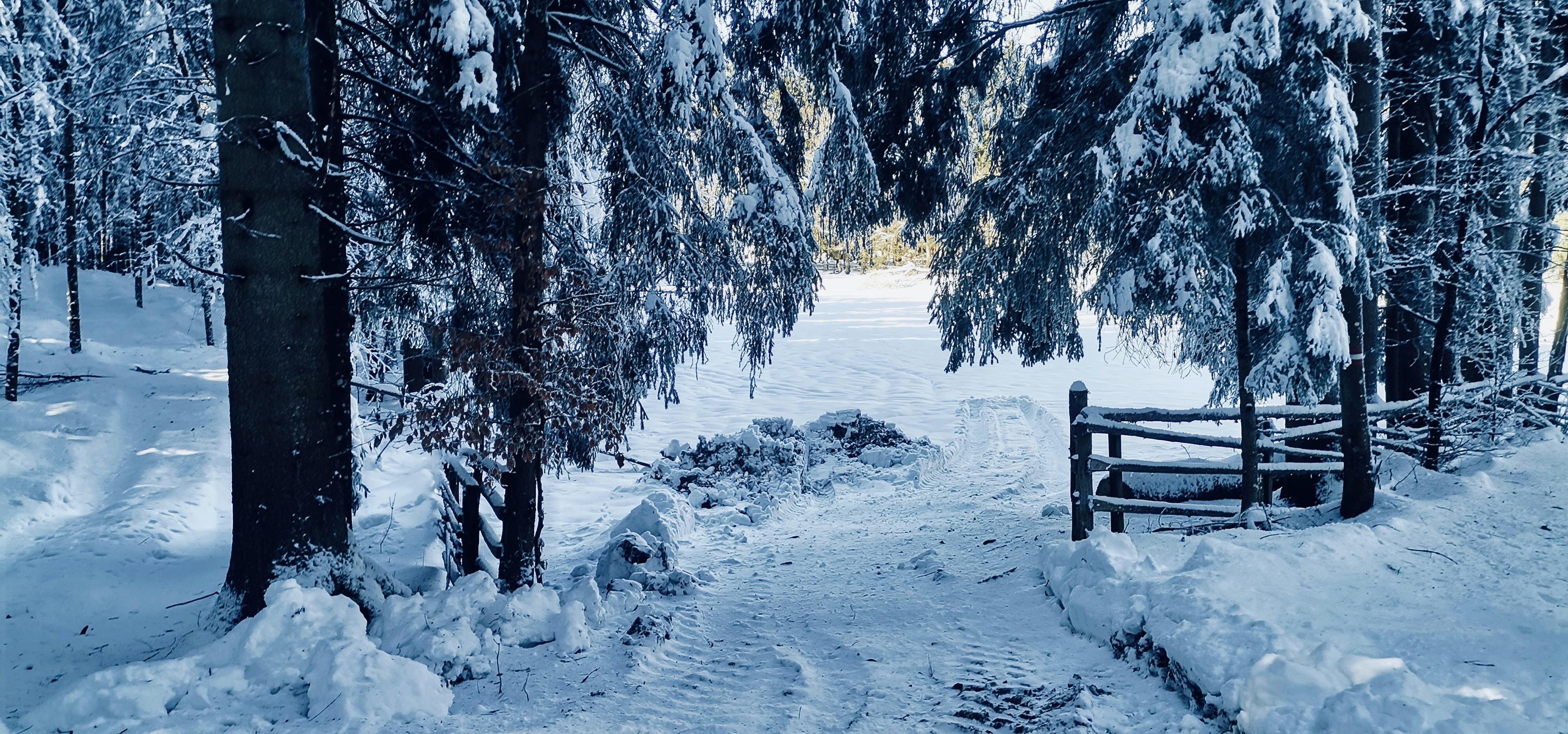 a snowy path in the woods with a wooden gate
