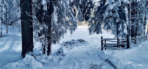 a snowy path in the woods with a wooden gate