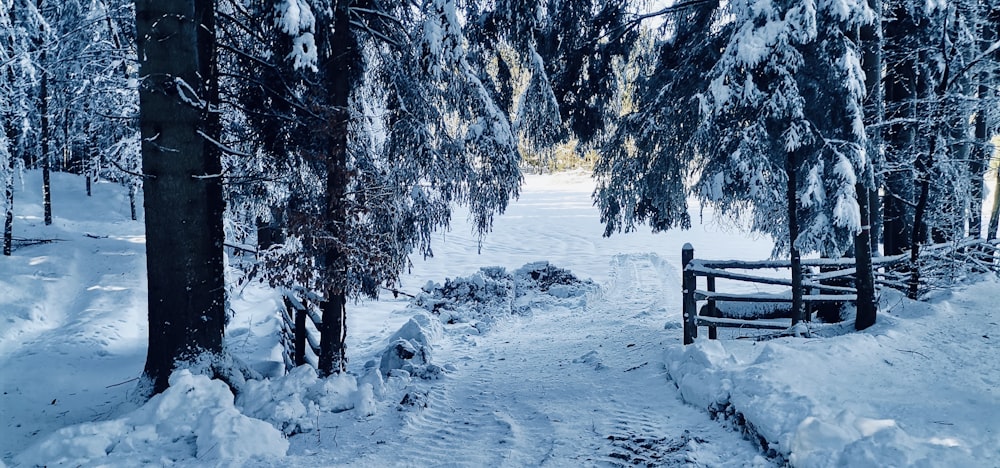 a snowy path in the woods with a wooden gate
