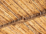 A close-up of sustainable materials used in a project.