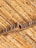 A close-up view of bamboo sticks arranged in a diagonal pattern, supported by wooden beams. The texture and natural grain of the bamboo and wood are clearly visible, showcasing earthy tones and a rustic feel.