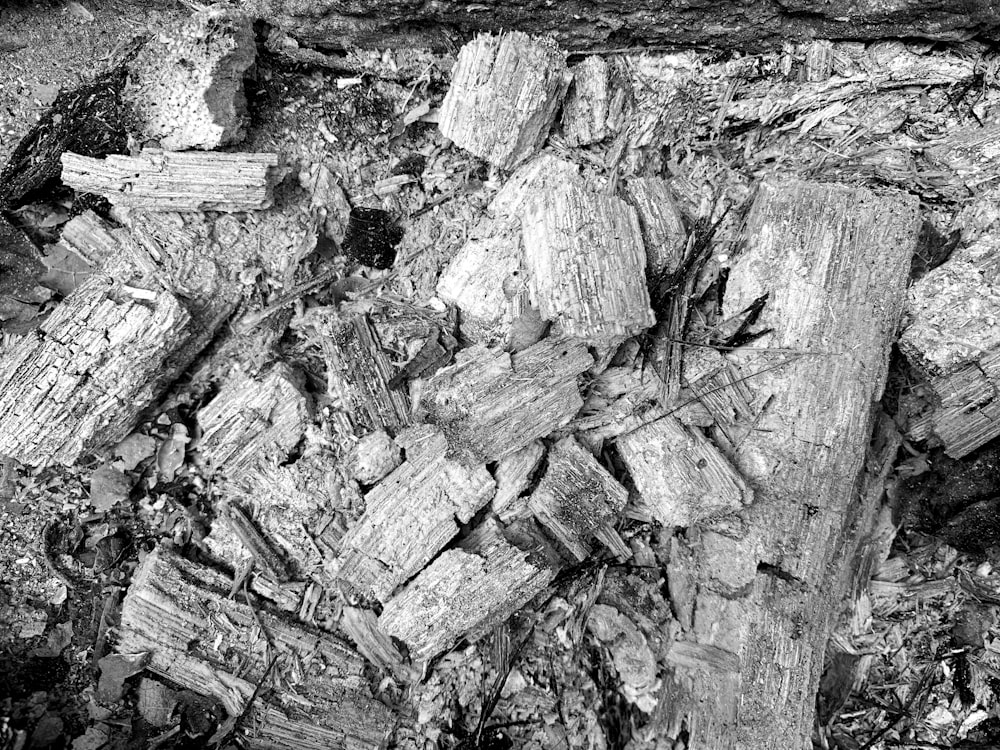 a black and white photo of a pile of wood