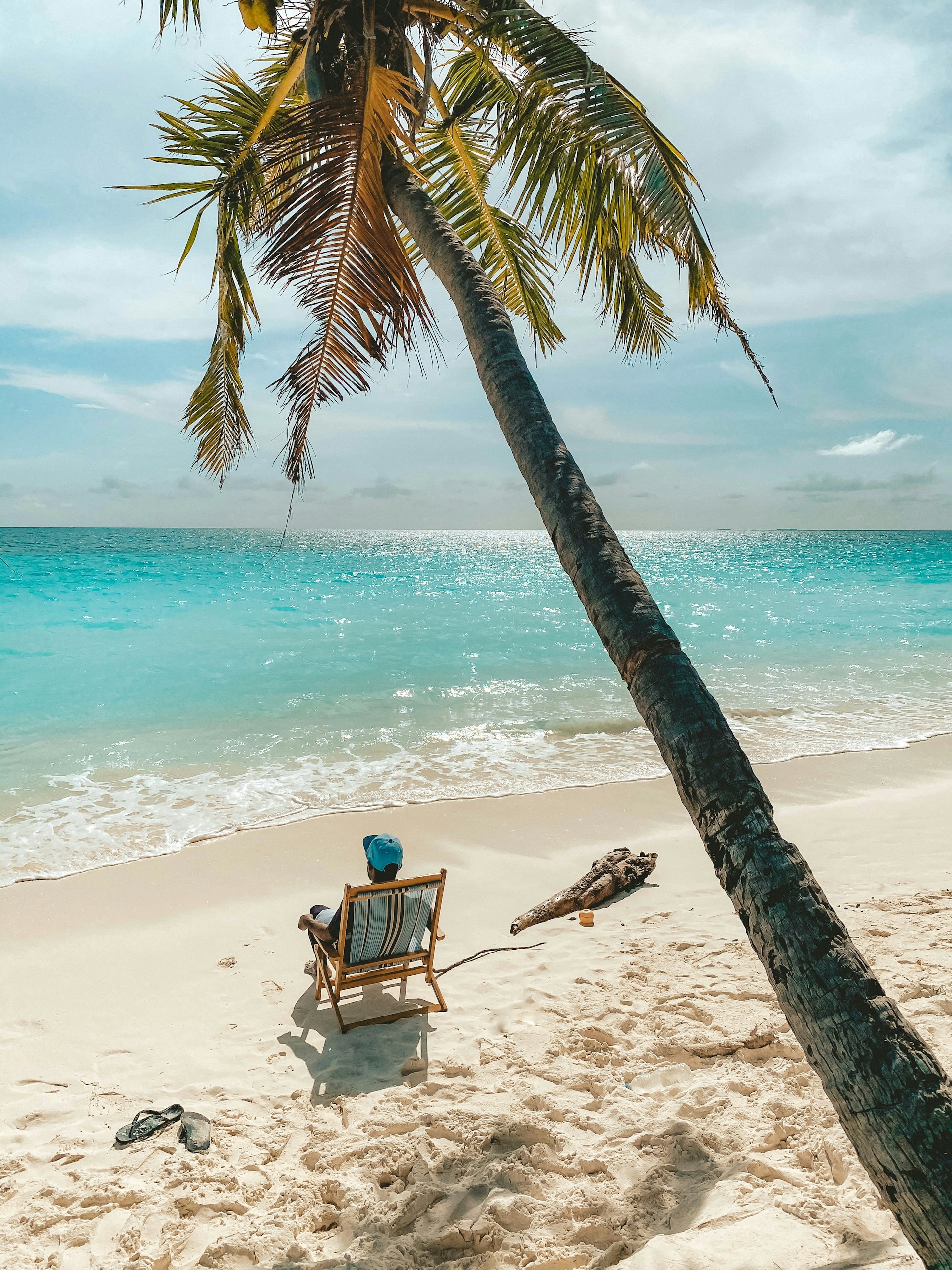 a beach with a chair and a palm tree