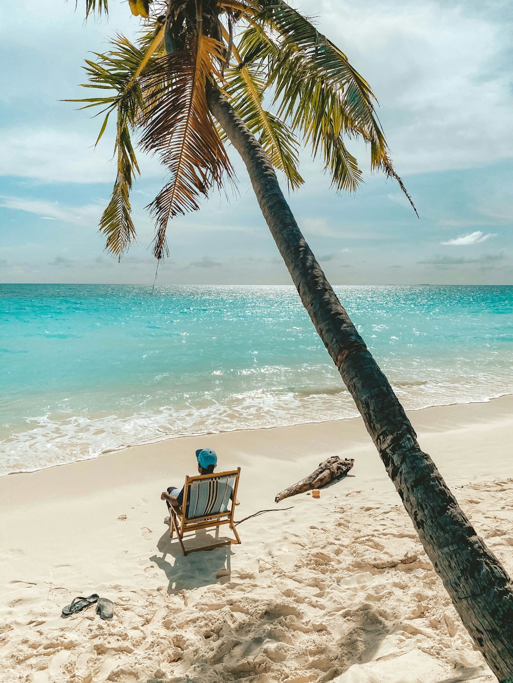 a beach with a chair and a palm tree
