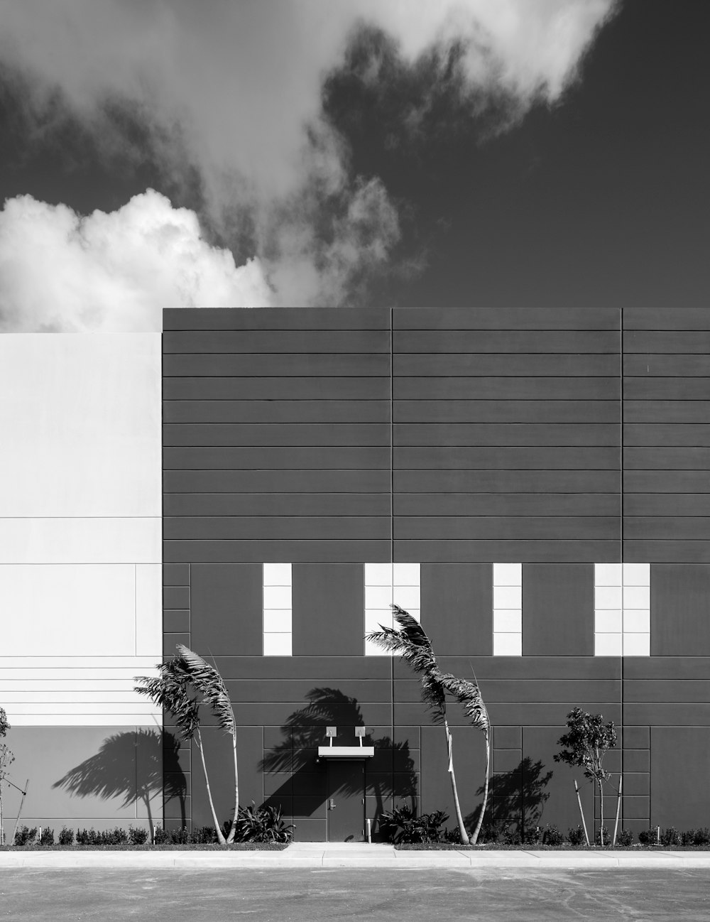 a black and white photo of a building with palm trees