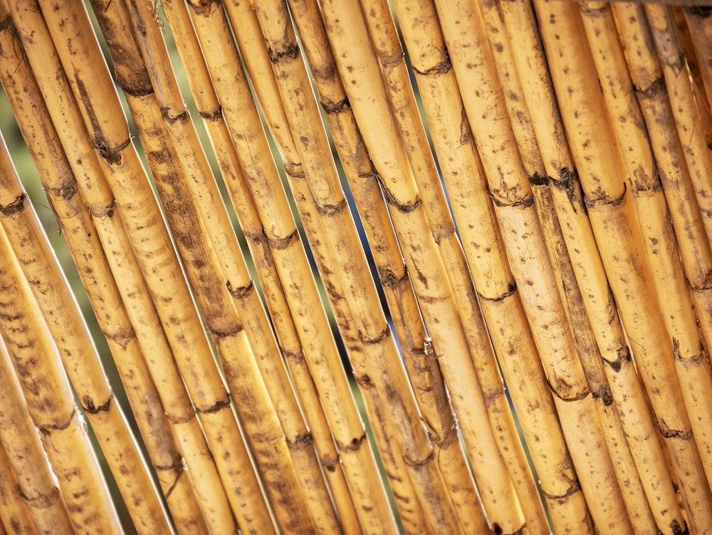 a close up view of a bamboo fence