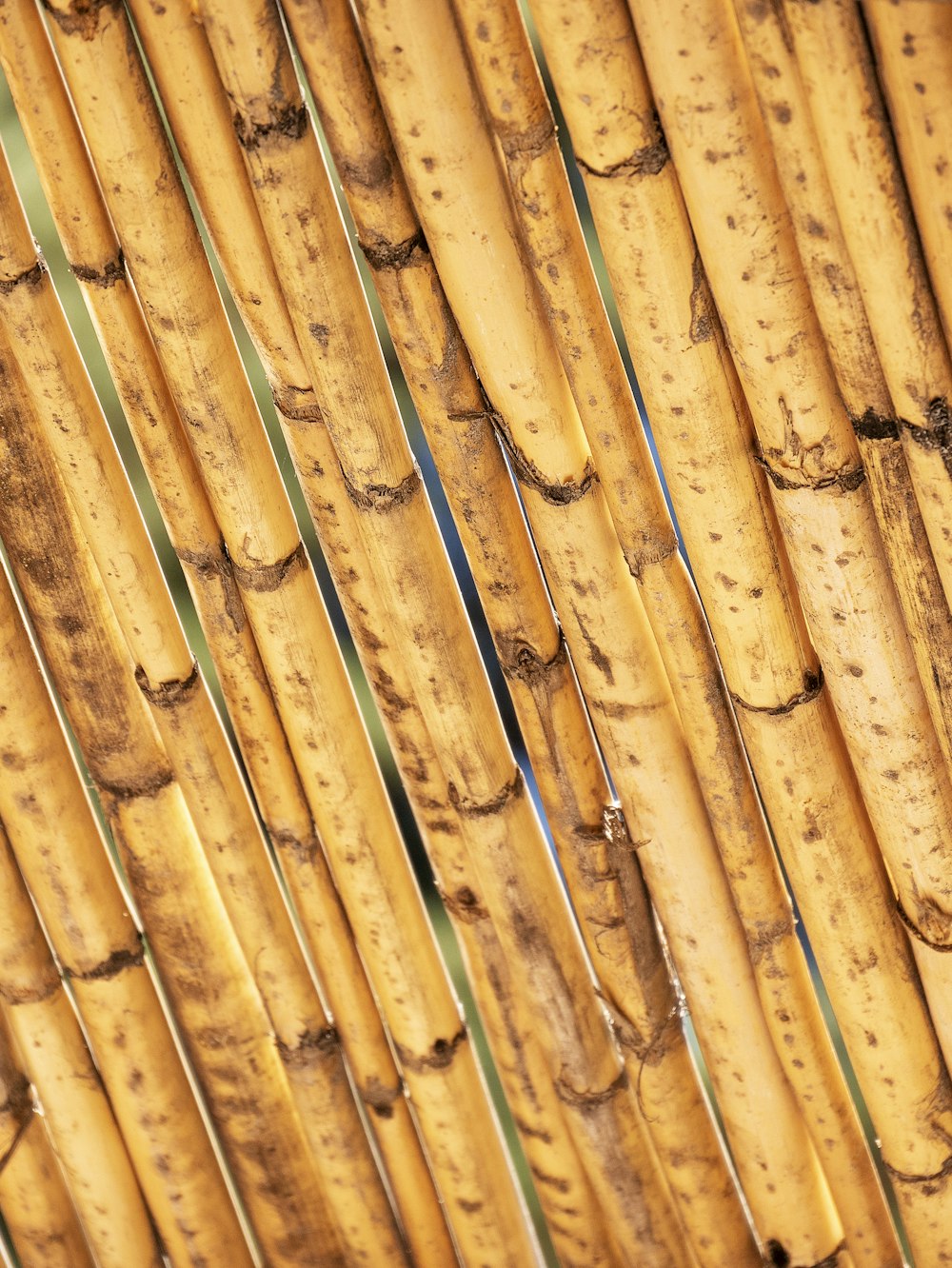 a close up view of a bamboo fence