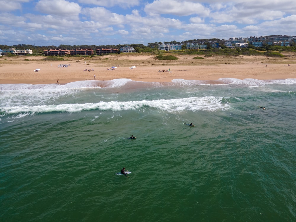 a group of people riding surfboards on top of a wave