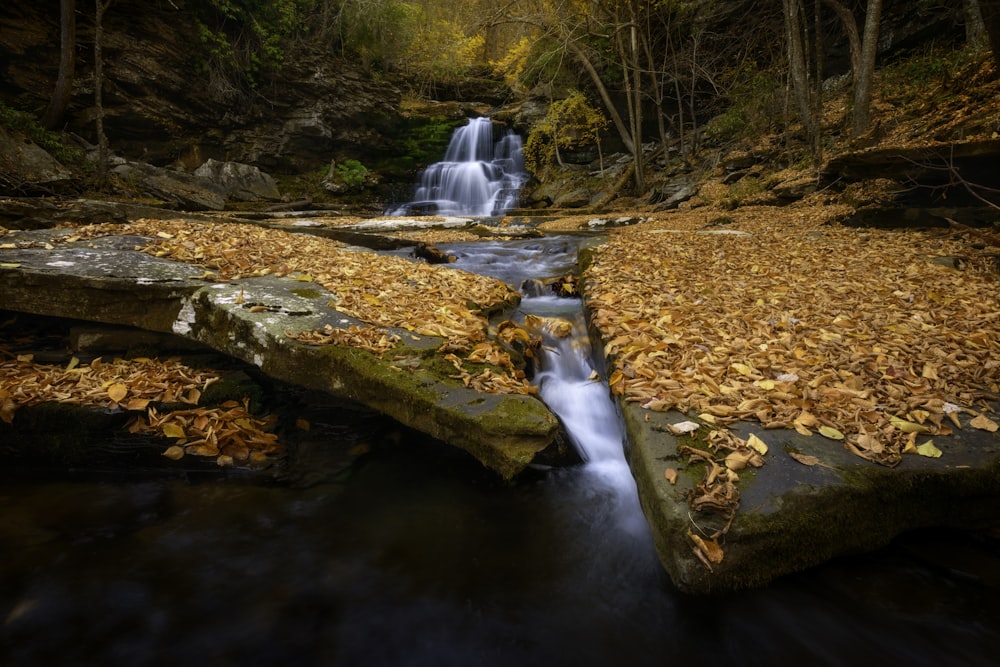 a small waterfall in the middle of a forest