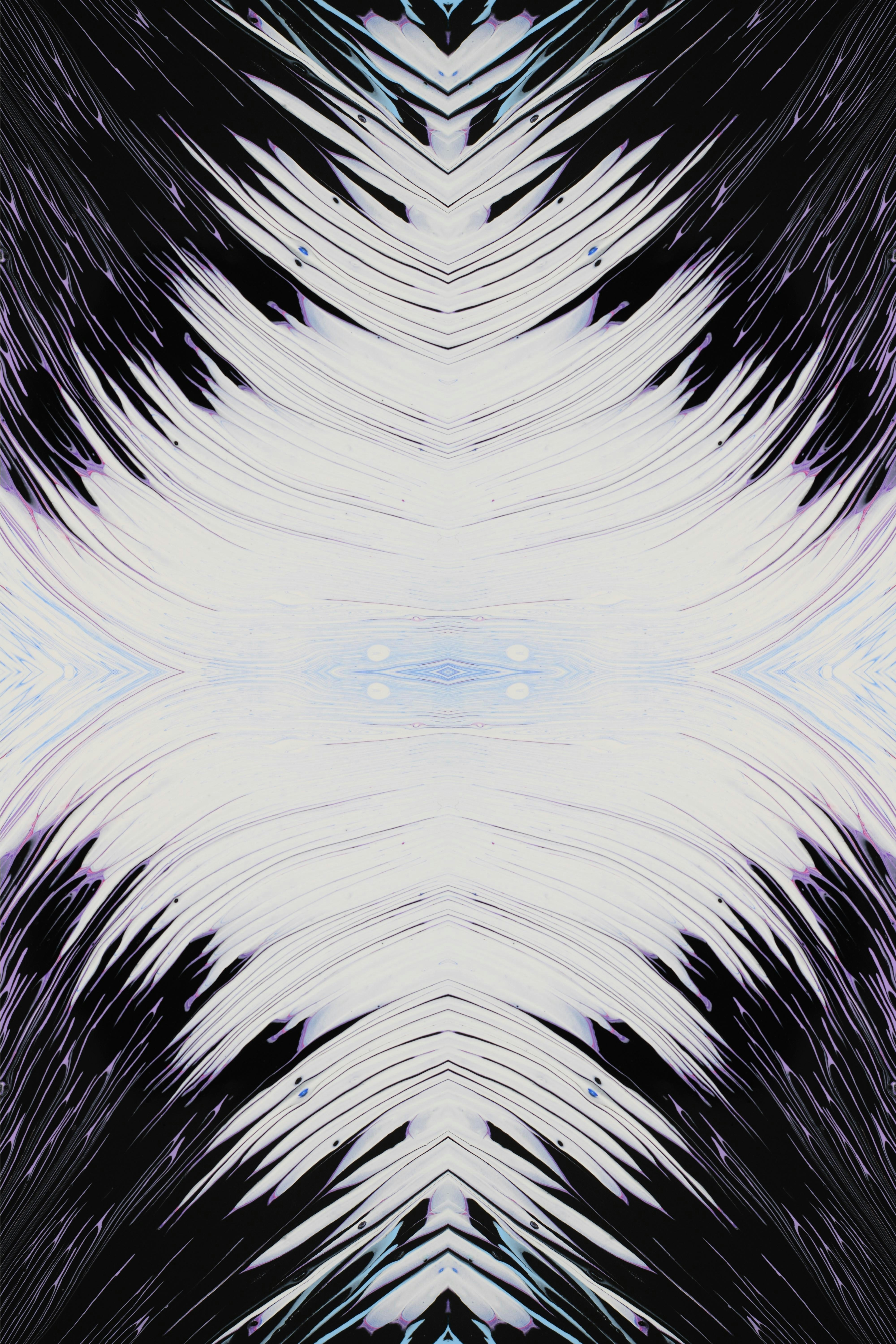 Photo by susan_wilkinson