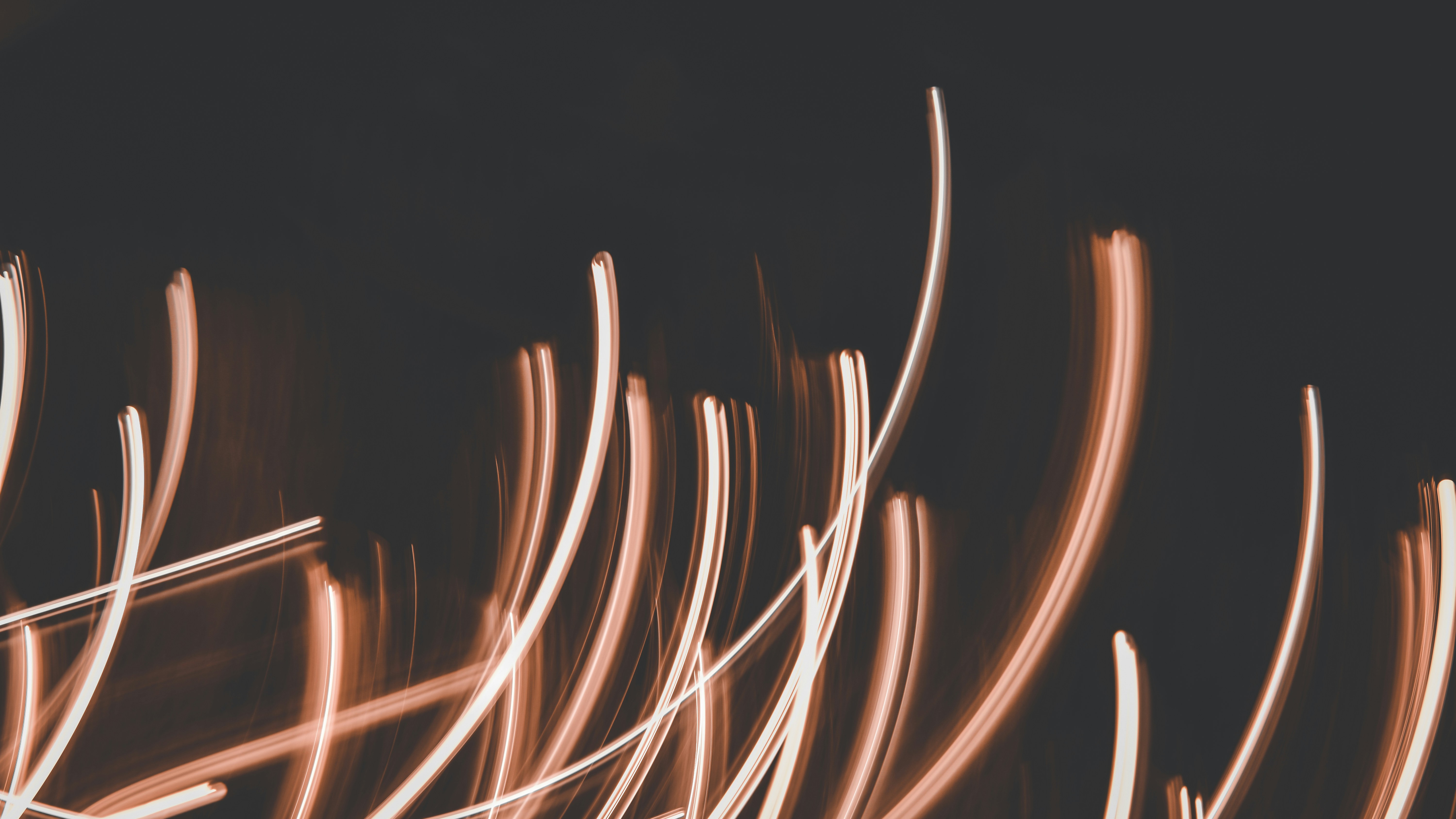 Photo by elliottmason