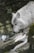 A white wolf is captured in profile as it stands atop a rocky terrain, surrounded by a forested background. The wolf's fur is dense and appears slightly wet, suggesting a damp environment. Its eyes are focused intently ahead, giving an impression of alertness and intelligence.