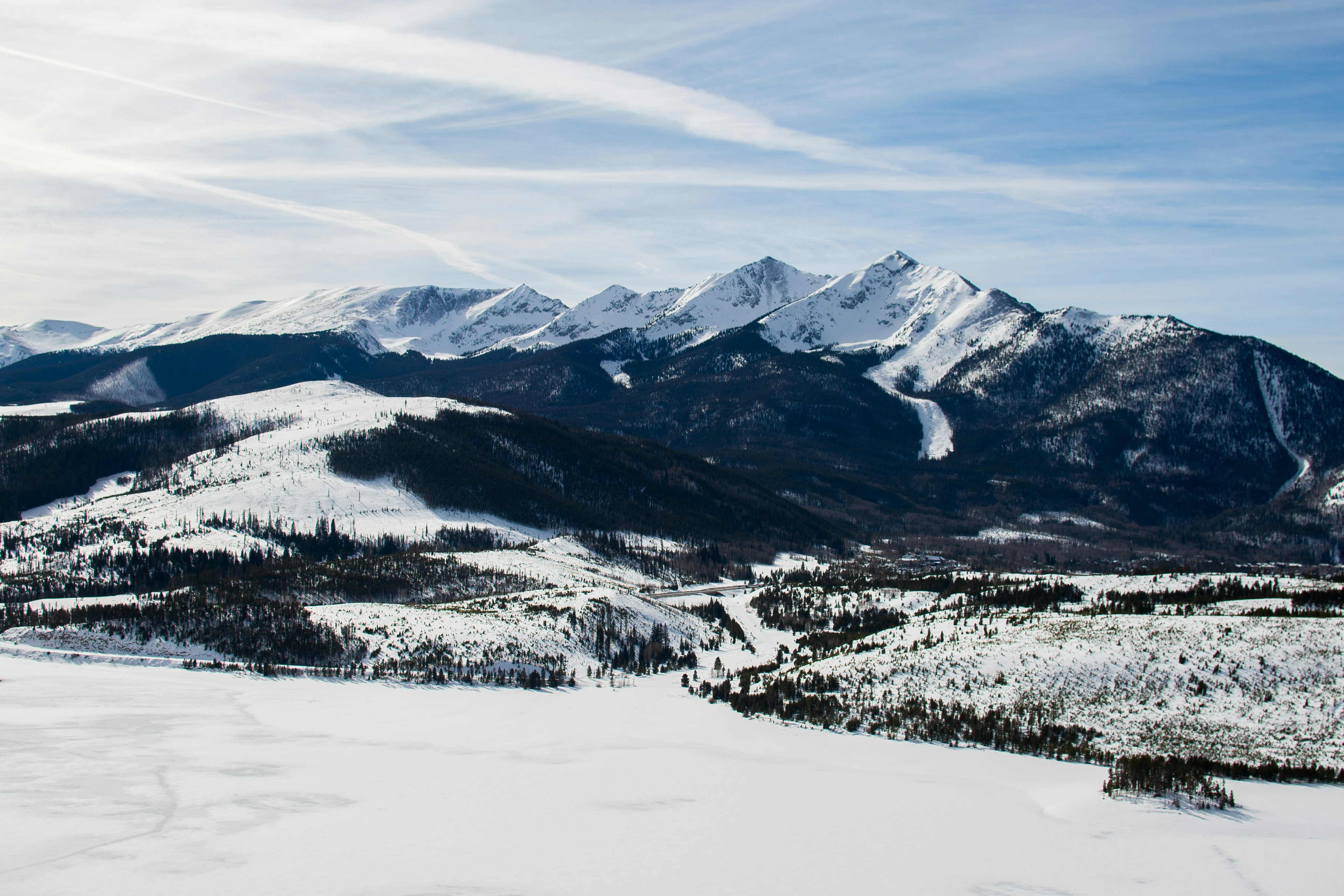 Evergreen and Conifer Real Estate