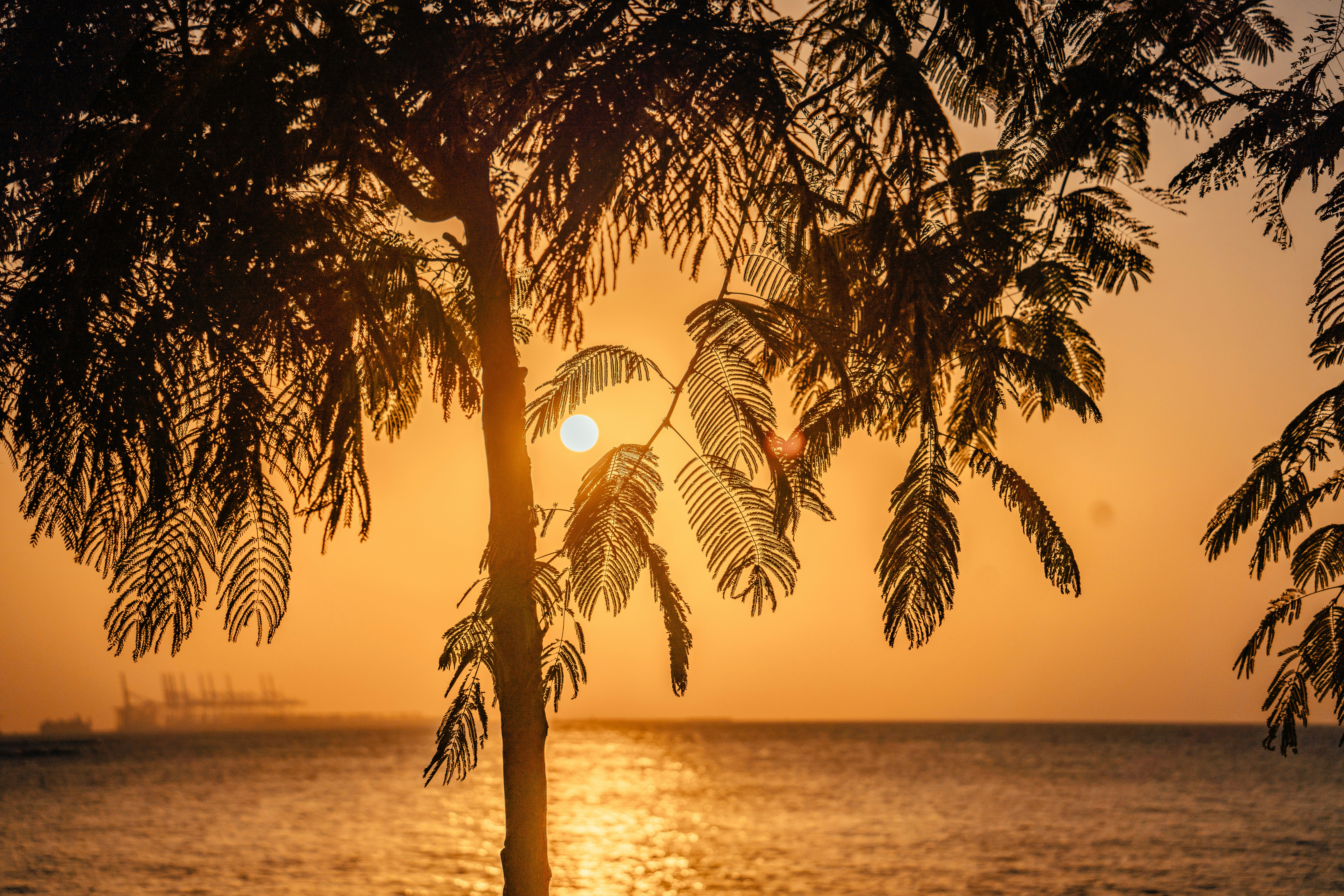 Photo by raimondklavins