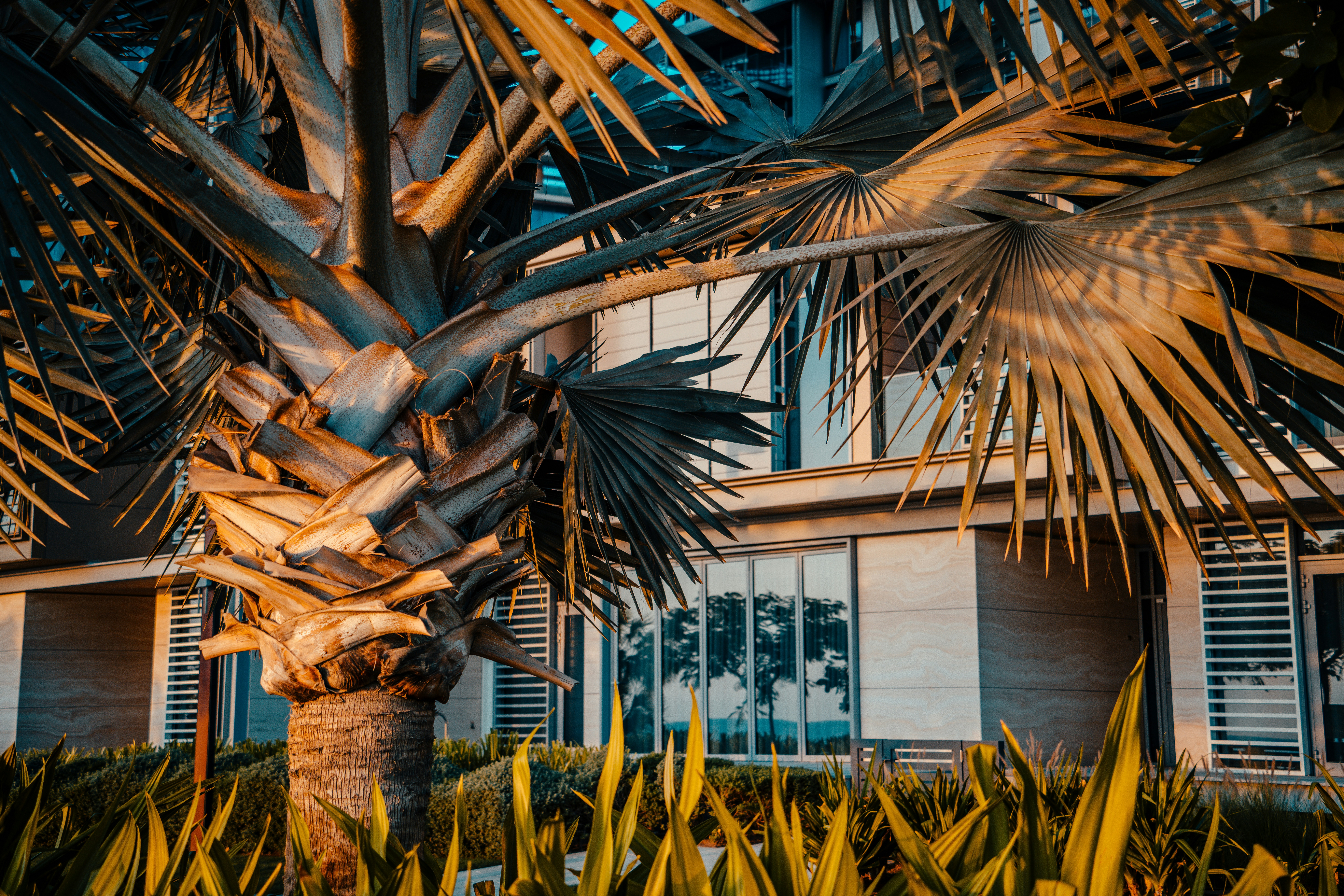 Photo by raimondklavins