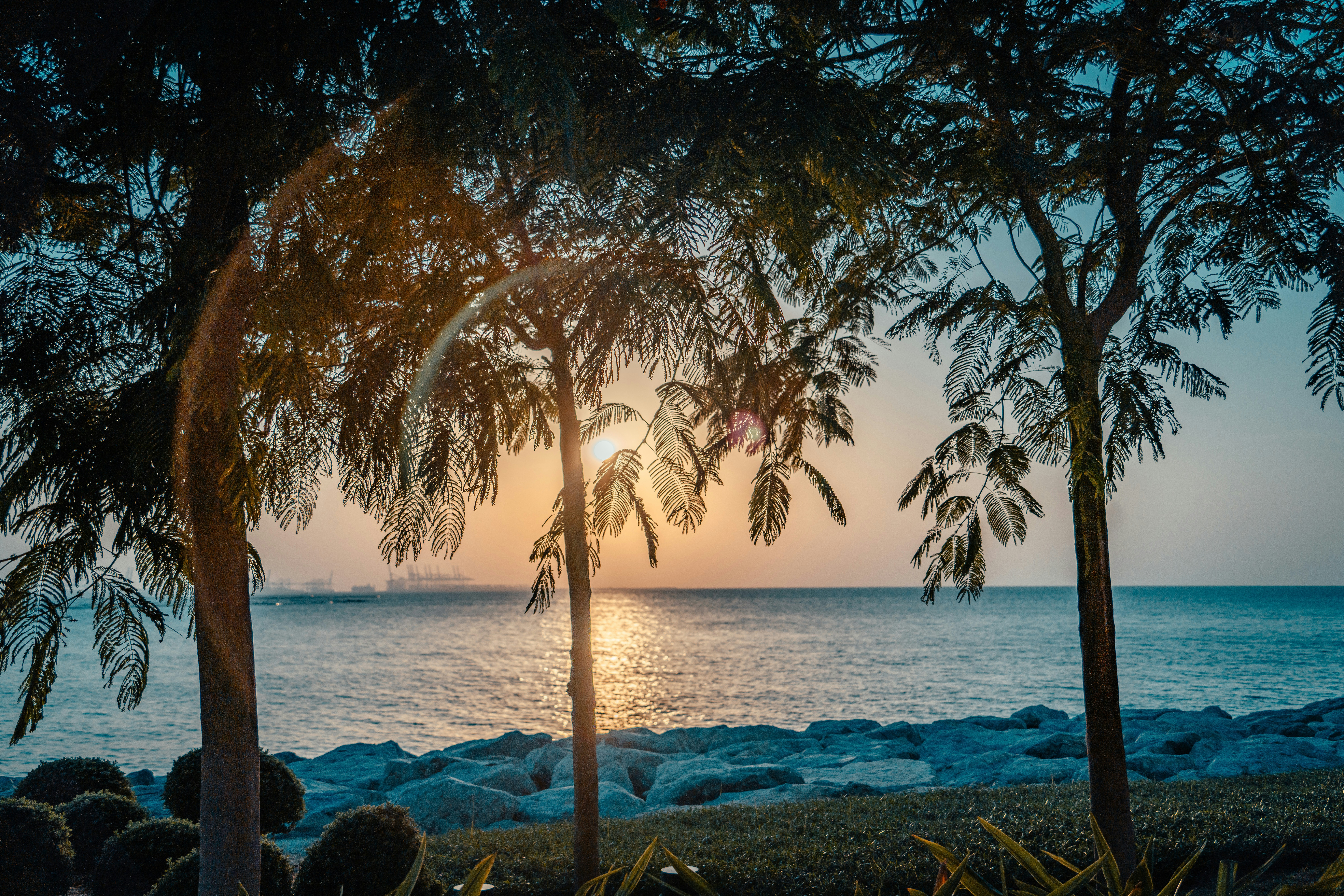 Photo by raimondklavins