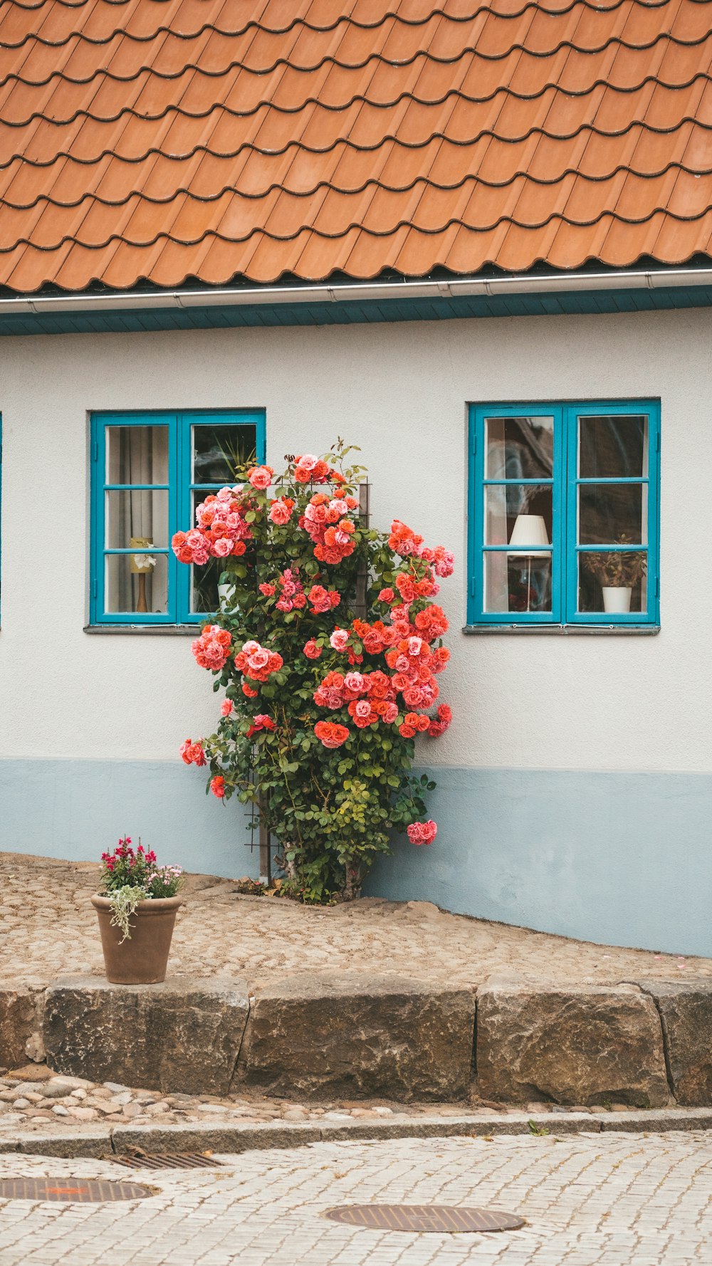 a potted plant with pink flowers in front of a house